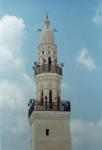 Al-Tarini (al-Mitwalli) mosque
