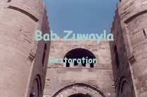 Bab Zuwayla 