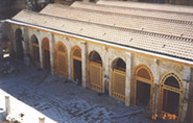 Great Umayyad mosque